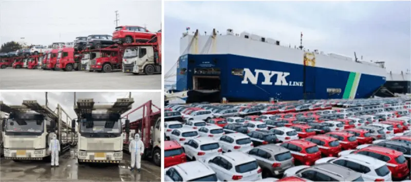 Export-to-South-America_02